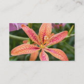 Blackberry Lily Visitekaartje (Achterkant)