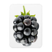 Blackberry Magneet (Verticaal)