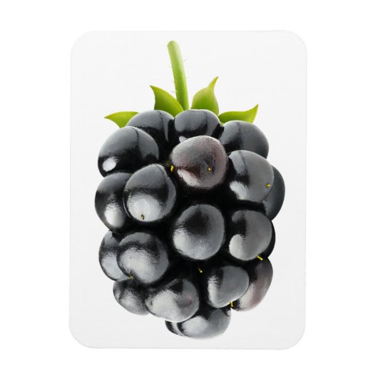 Blackberry Magneet (Verticaal)