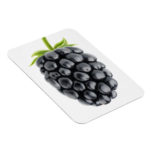 Blackberry Magneet (Rechterzijde)