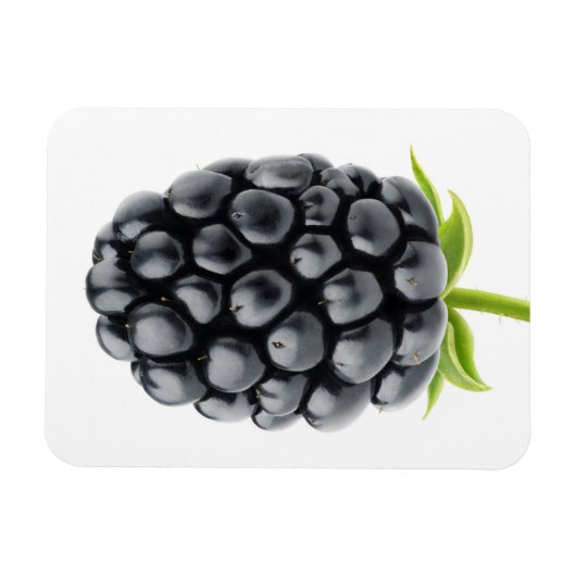 Blackberry Magneet (Horizontaal)