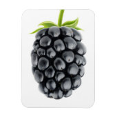 Blackberry Magneet (Verticaal)