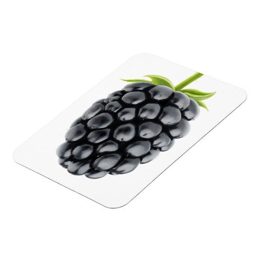 Blackberry Magneet (Linkerzijde)