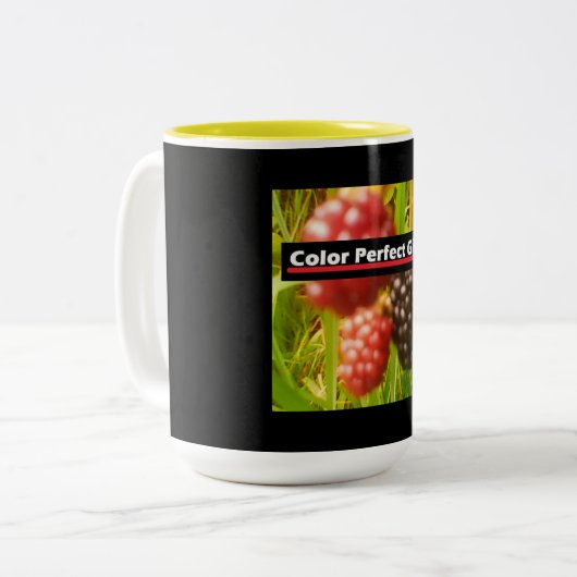 Blackberry-promotie Tweekleurige Koffiemok (Voorkant links)