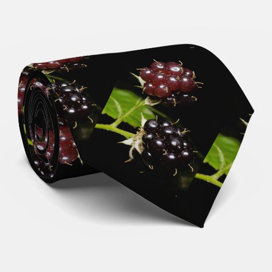 Blackberry Stropdas (Opgerold)