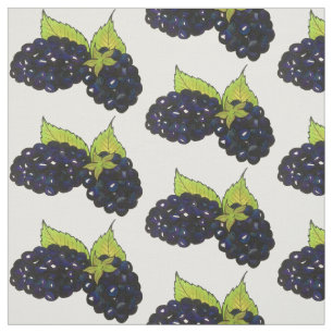Blackberry Struik Summer Blackberries Berry Berrie Stof