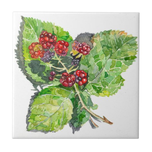 BlackBerry Tegeltje (Voorkant)