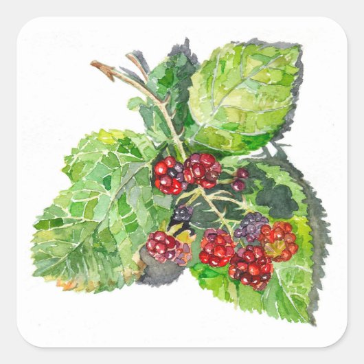 BlackBerry Vierkante Sticker (Voorkant)