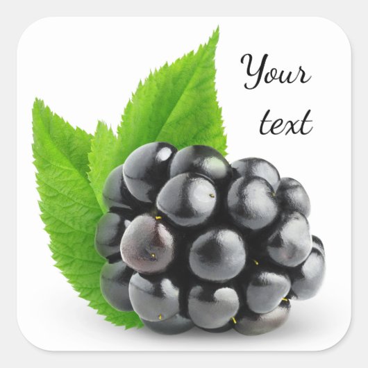 Blackberry Vierkante Sticker (Voorkant)