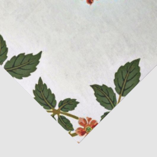 Blackberry, William Morris patroon, Tissuepapier (Detail)