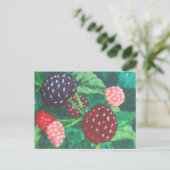 Blackberry's van alle leeftijden rijpen op de wijn briefkaart (Staand voorkant)