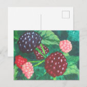 Blackberry's van alle leeftijden rijpen op de wijn briefkaart (Voorkant / Achterkant)