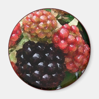Blackberry's Waterverf - Magnet