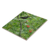 Blackbird and Berries Tile Tegeltje (Zijkant)
