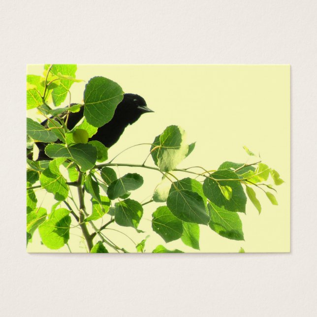 Blackbird ATC Visitekaartjes (Voorkant)