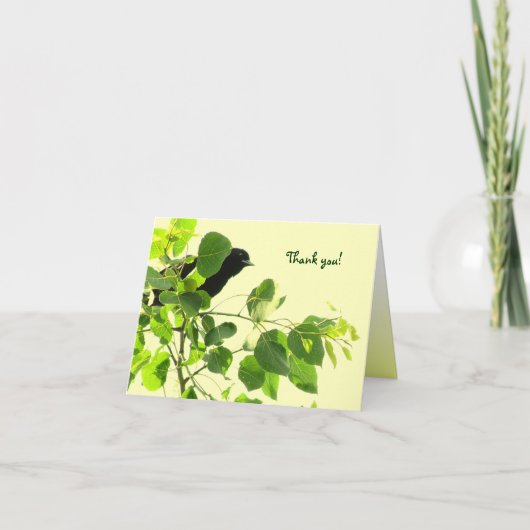 Blackbird, bedankt (Voorkant)