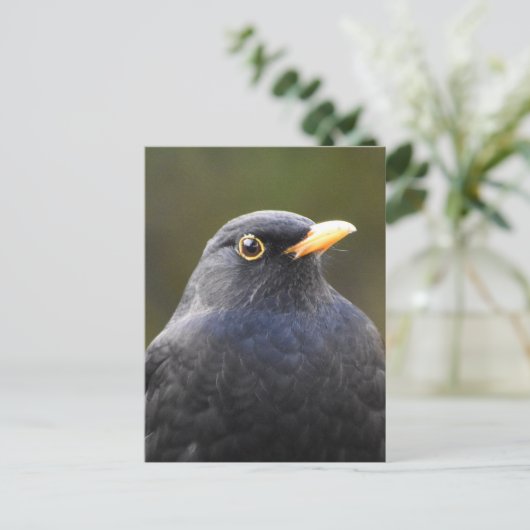  Blackbird Briefkaart (Staand voorkant)