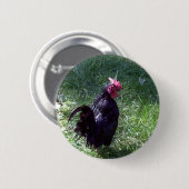 Blackbird de Zwarte Haan Ronde Button 5,7 Cm (Voorkant /achterkant)