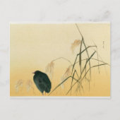 Blackbird, Edo Period Briefkaart (Voorkant)
