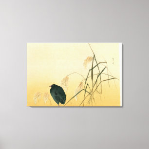 Blackbird, Edo Period Canvas Afdruk