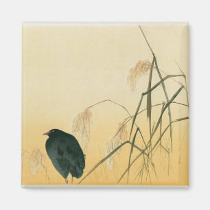 Blackbird, Edo Period Magneet