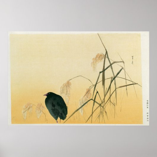 Blackbird, Edo Period Poster (Voorkant)