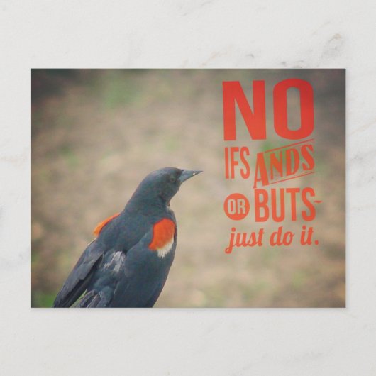 Blackbird Enmoegement Briefkaart (Voorkant)