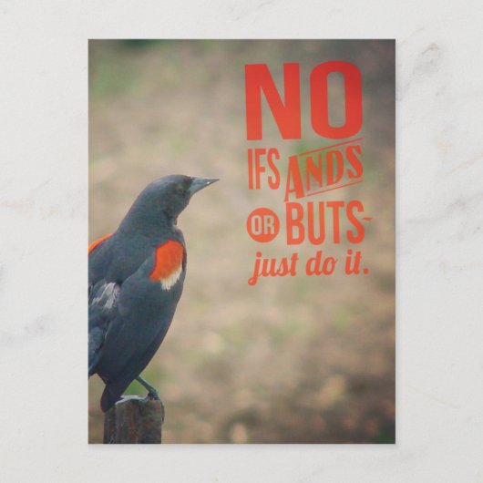 Blackbird Enmoegement Briefkaart (Voorkant)