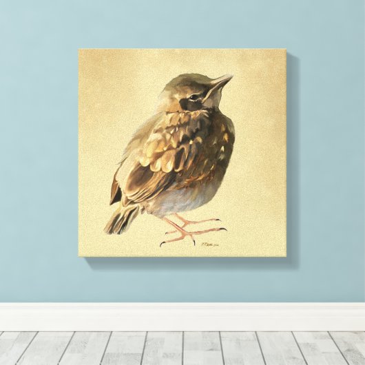 Blackbird Fledgling in Sun Canvas Afdruk (Insitu (Houten vloer))