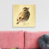 Blackbird Fledgling in Sun Canvas Afdruk (Insitu (Woonkamer))