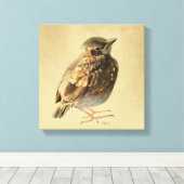 Blackbird Fledgling in Sun Canvas Afdruk (Insitu (Houten vloer))