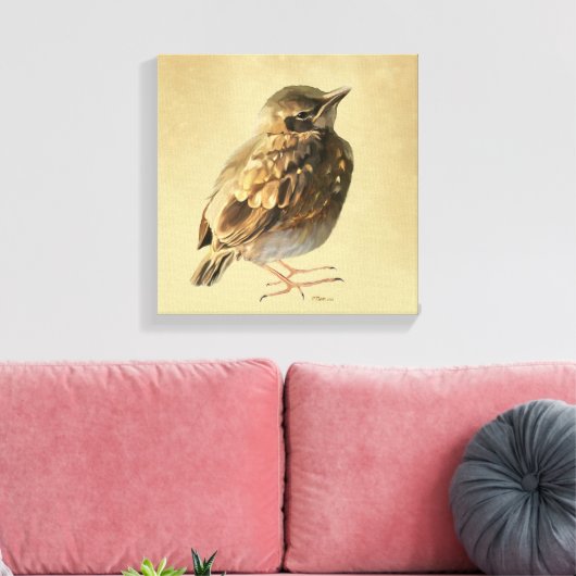 Blackbird Fledgling in Sun Canvas Afdruk (Insitu (Woonkamer))