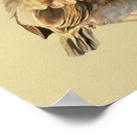 Blackbird Fledgling` in Sun Poster (Hoek)