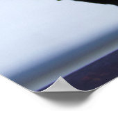 Blackbird Foto Poster (Hoek)