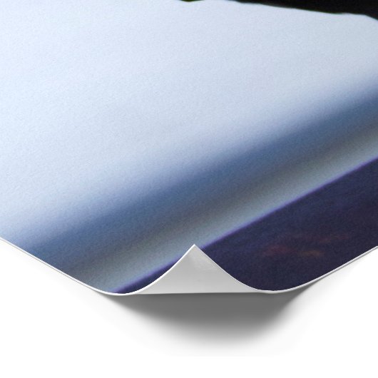 Blackbird Foto Poster (Hoek)