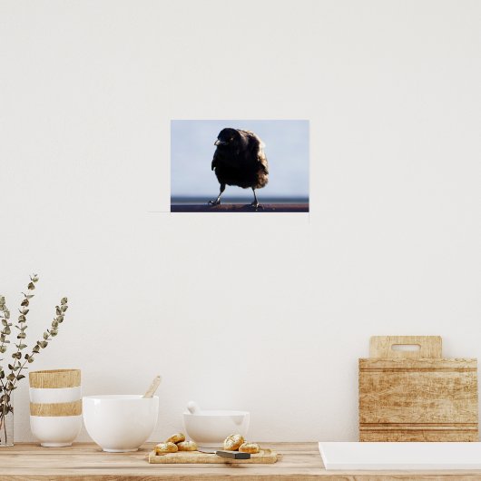 Blackbird Foto Poster (Keuken)