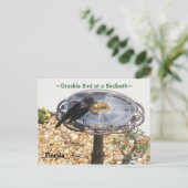 Blackbird Grackle vogelbad Briefkaart (Staand voorkant)