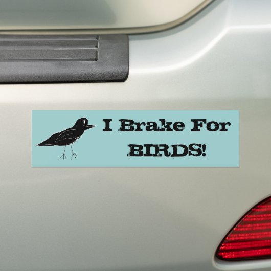Blackbird: "Ik rem voor VOGELS!" Bumpersticker (Op auto)