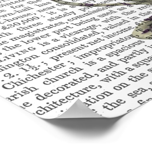 Blackbird in Teacup Poster (Hoek)