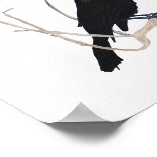 Blackbird Inspirerend Print (Hoek)