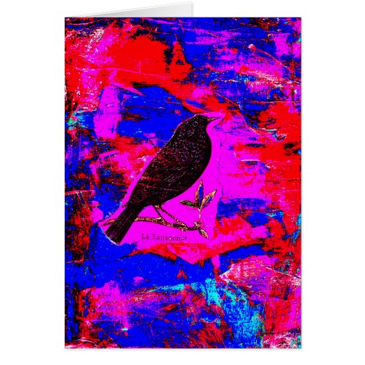 Blackbird Mixed Media Digital Art (Voorkant)