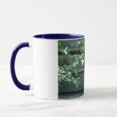 Blackbird Mok #2 (Links)