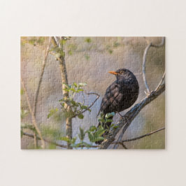 Blackbird Natuur Foto Legpuzzel