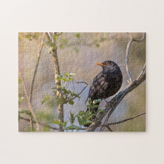 Blackbird Natuur Foto Legpuzzel (Horizontaal)