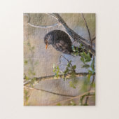 Blackbird Natuur Foto Legpuzzel (Verticaal)