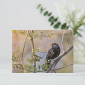Blackbird Natuur-fotokaart (Staand voorkant)