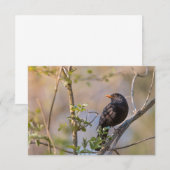 Blackbird Natuur-fotokaart (Voorkant / Achterkant)