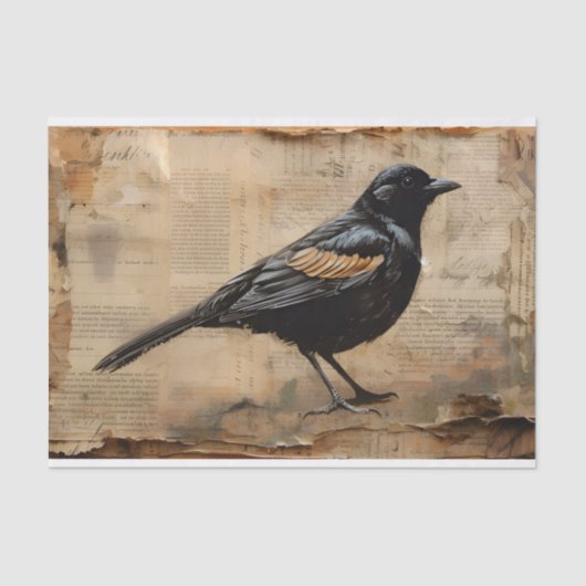  Blackbird-ontkoppeling Gothic Blackbird Tissuepapier (Voorkant)