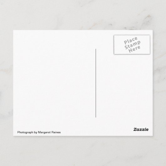 BlackBird op een drager Briefkaart (Achterkant)