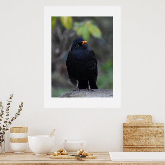 Blackbird  poster (Keuken)